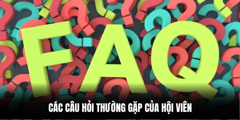 Các câu hỏi thường gặp của hội viên